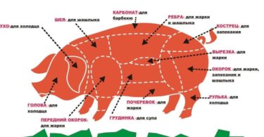 схема свиной туши