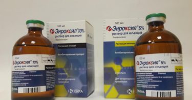 энроксил инструкция по применению