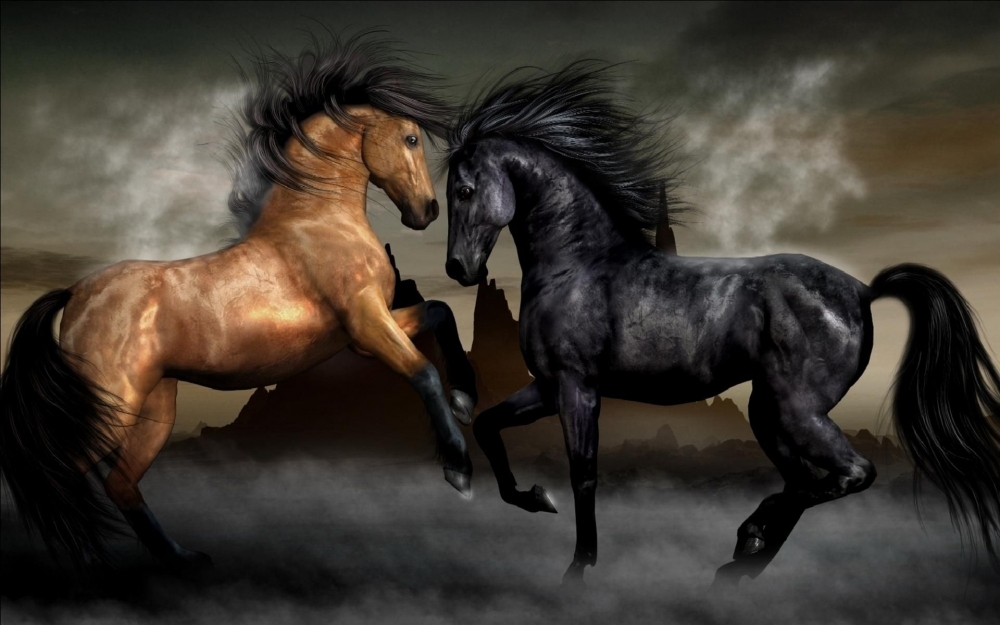 Клички для лошадей- красивые русские, арабские и английские имена для жеребца