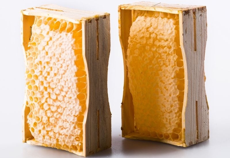 пчелиные соты полезные свойства