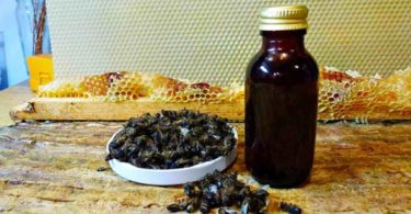 пчелиный подмор