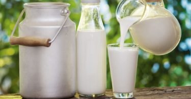 сколько молока дает корова в день