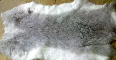 выделка шкурок кролика