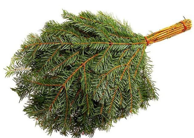 кормление гусей в зимний период