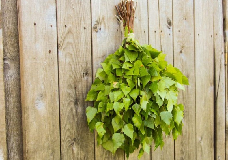 чем кормить гусей зимой в домашних условиях