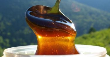 свойства дягилевого меда