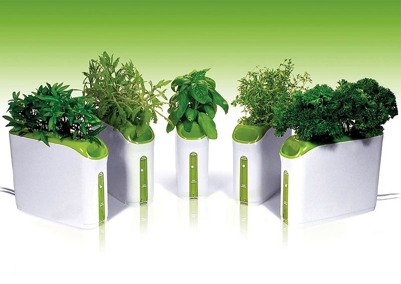 оборудование для гидропоники зелень