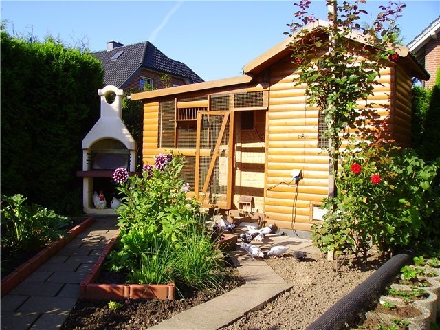 голубятня своими руками