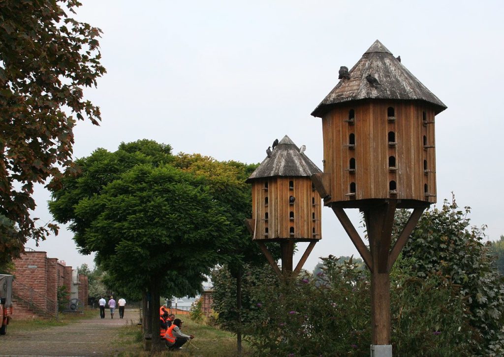 голубятня своими руками