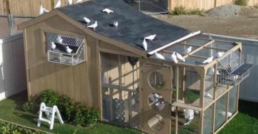 голубятня своими руками