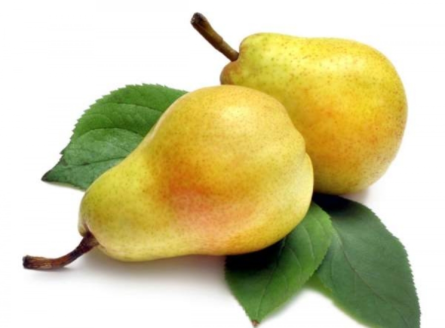польза груши для организма человека
