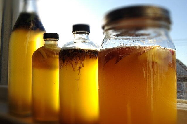 индийский лук лечение