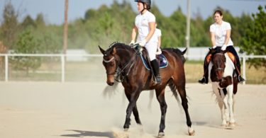 оседлать лошадь правильно