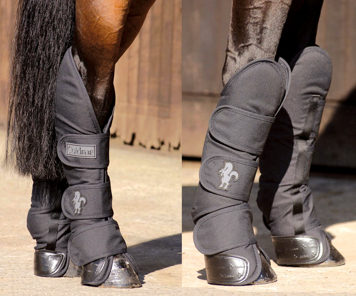 Что бы надеть?