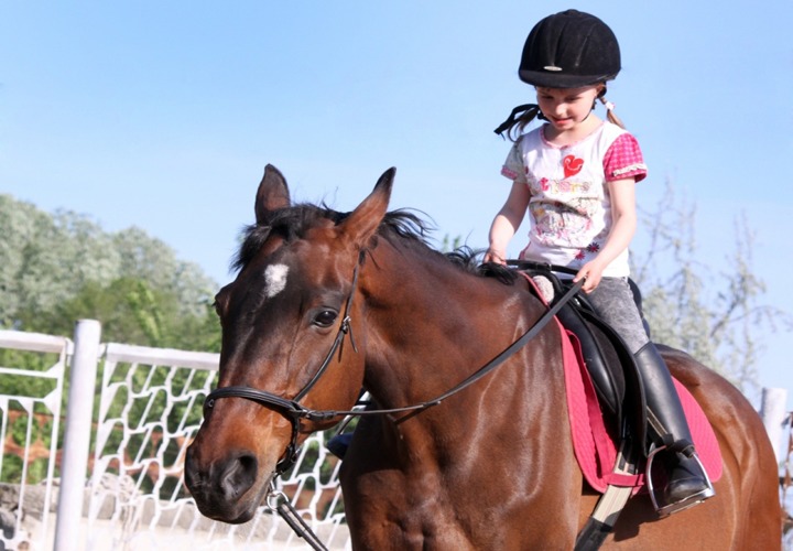 Верховая езда – здоровая страсть