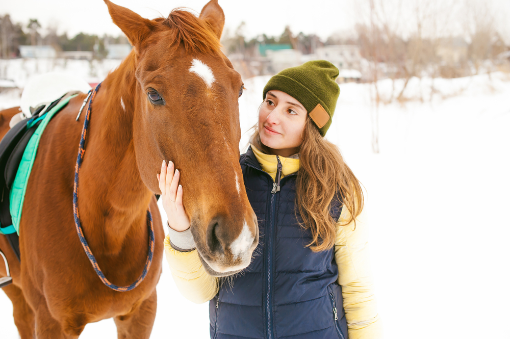 Уроки верховой езды или экскурсия «Знакомство с лошадью» в школе ...