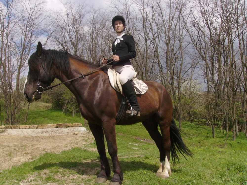 Базовая верховая езда | Школа верховой езды «Ника-свобода» +7 978 ...