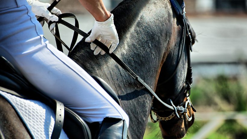 верховая езда – Победный Аллюр