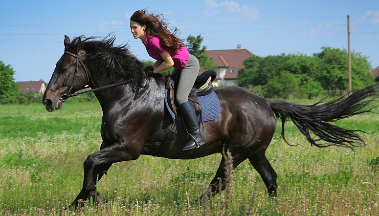 Верховая езда – – Одесса – EMOZZI