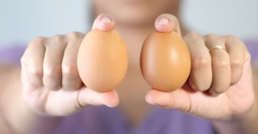 проверить яйца на свежесть