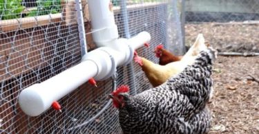поильник для кур