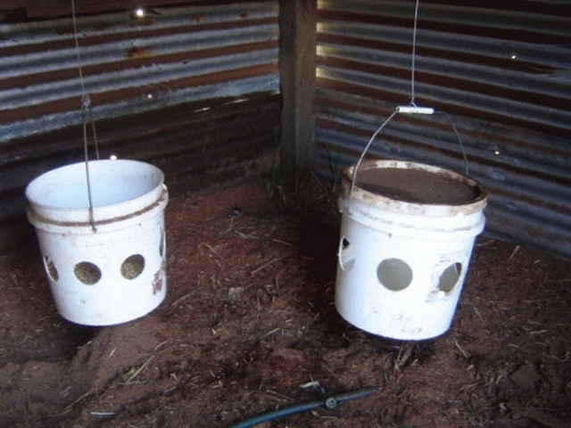 автоматическая поилка для кур