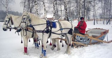 сани для лошади своими руками