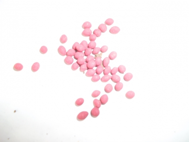 pěstování mrkve v otevřeném terénu