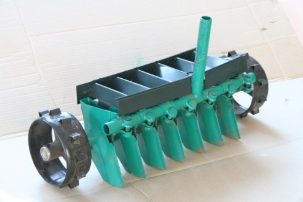 technologie pěstování mrkve