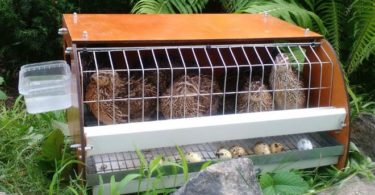 инструкция по изготовлению клетки для перепелов