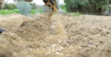 удобрение из костной муки