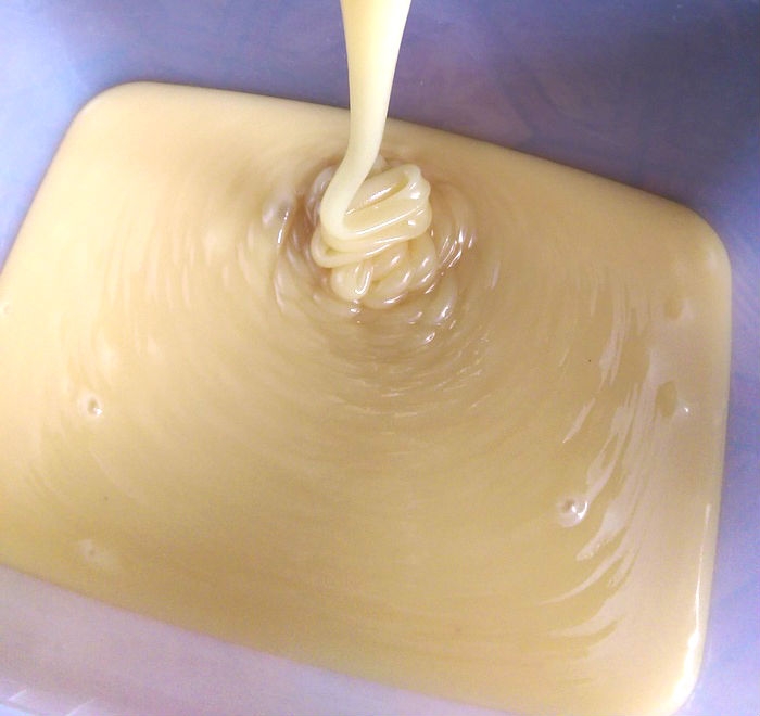 мед донниковый фото