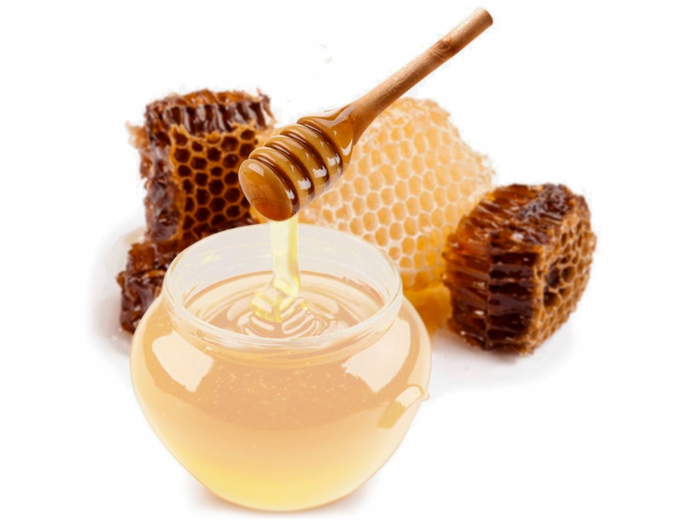 мед донника полезные свойства и противопоказания