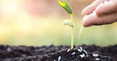 Минеральные удобрения