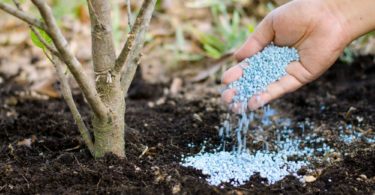 Калийно-фосфорные удобрения