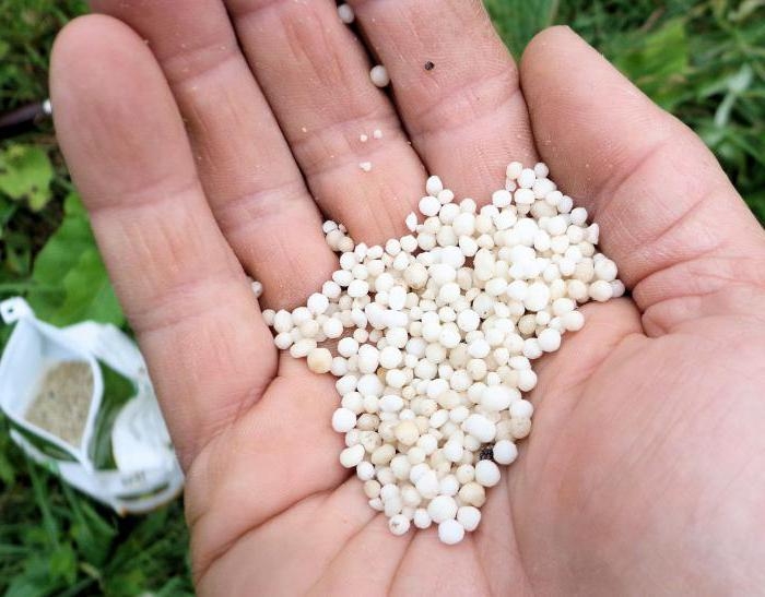 мочевина удобрение применение на огороде