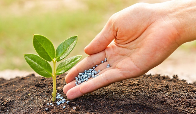 раствор мочевины