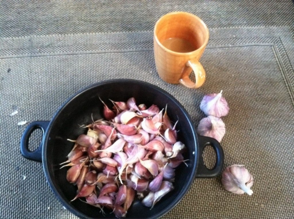 чеснок яровой и озимый отличия