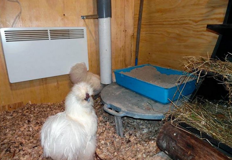 отопление курятника зимой