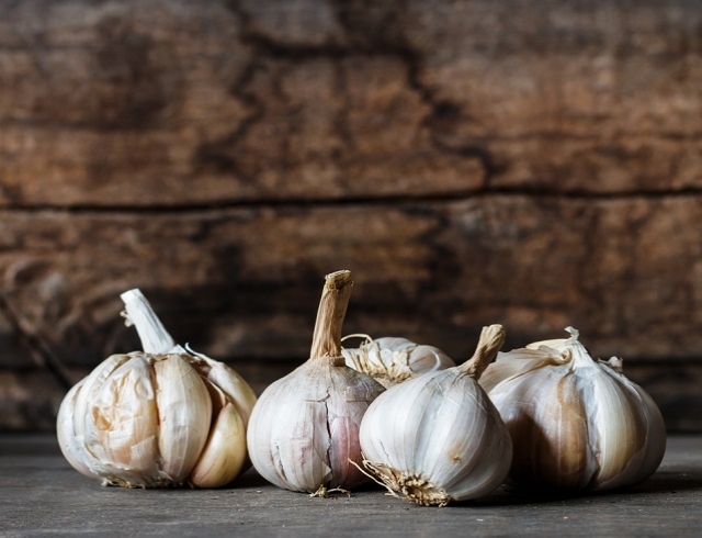 подготовка чеснока к посадке под зиму