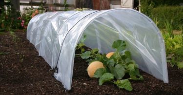 сделать парники из дуг