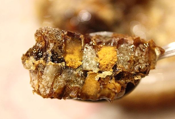 перга лечебные свойства как принимать