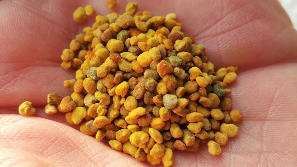 перга состав