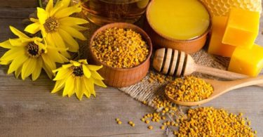 Лечебные свойства пчелиной перги