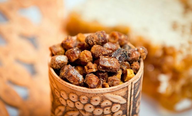 перга лечебные свойства как принимать