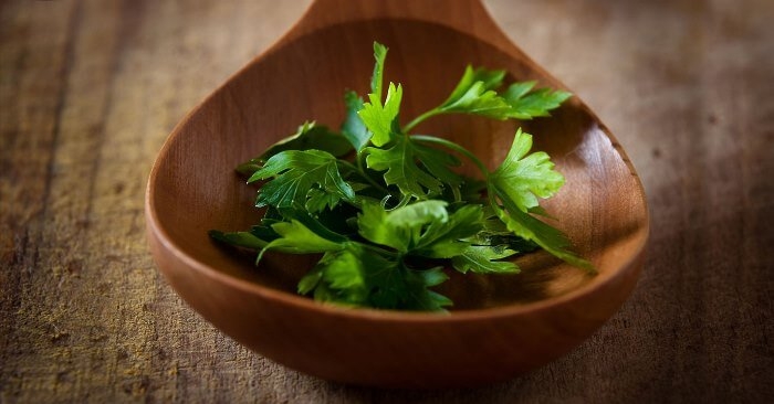 чем полезна петрушка для организма человека