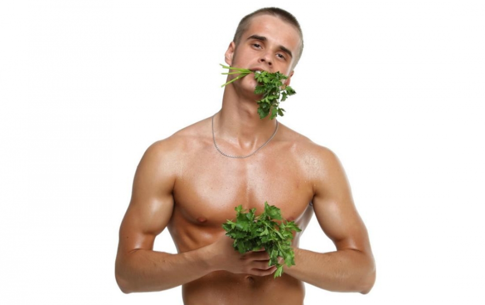 целебные свойства петрушки