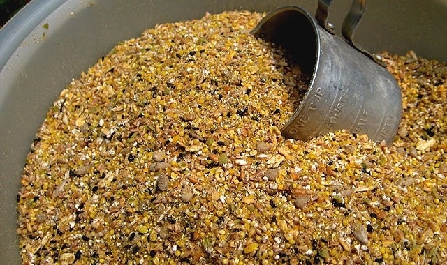 куры едят свои яйца что делать