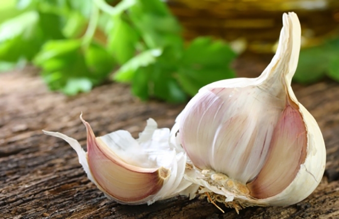 полезен ли чеснок для организма