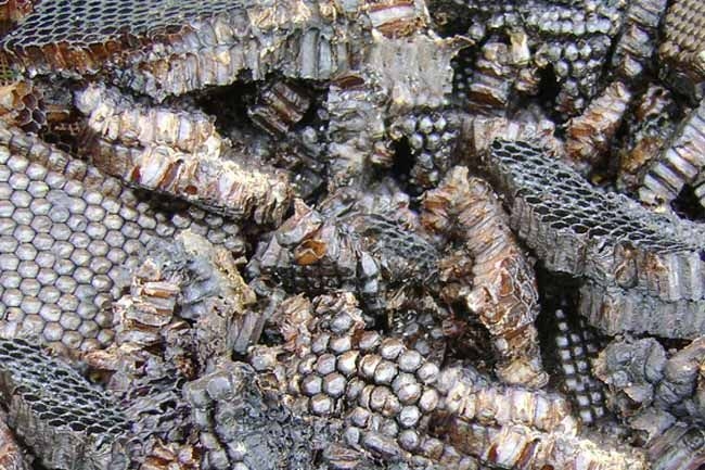 продукты жизнедеятельности пчел